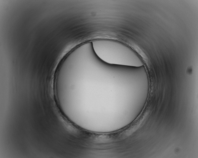 X0000103430986200809121033