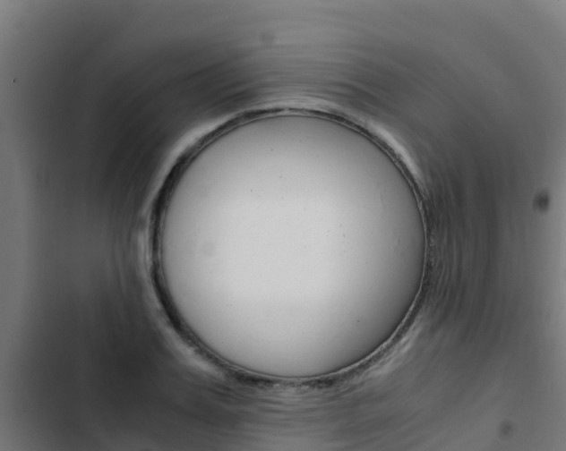 X0000103430987200809121033