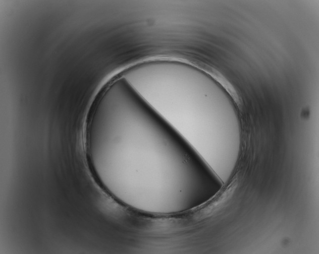 X0000103430988200809121033