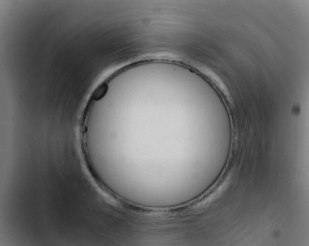 X0000103430989200809121033