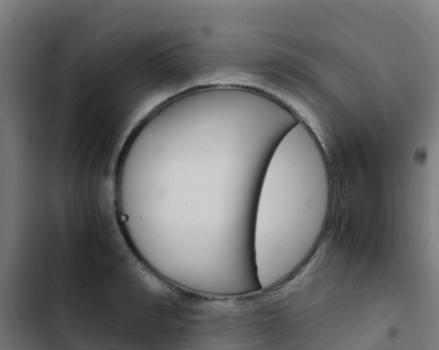 X0000103430990200809121033