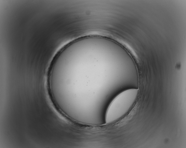 X0000103430991200809121033