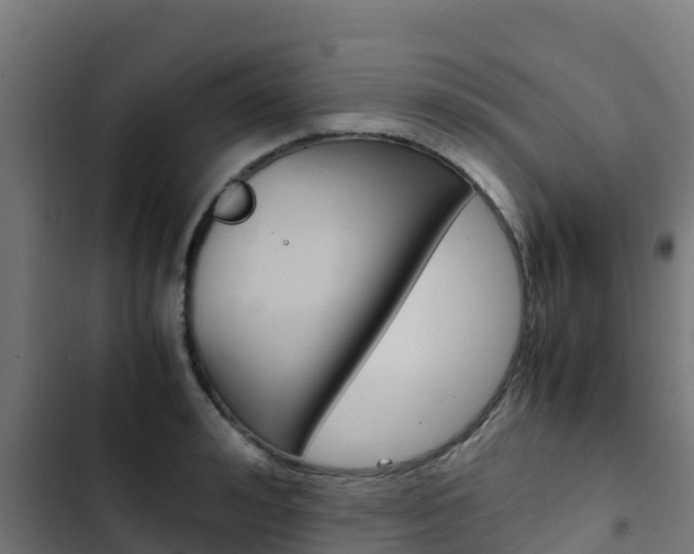 X0000103430992200809121033