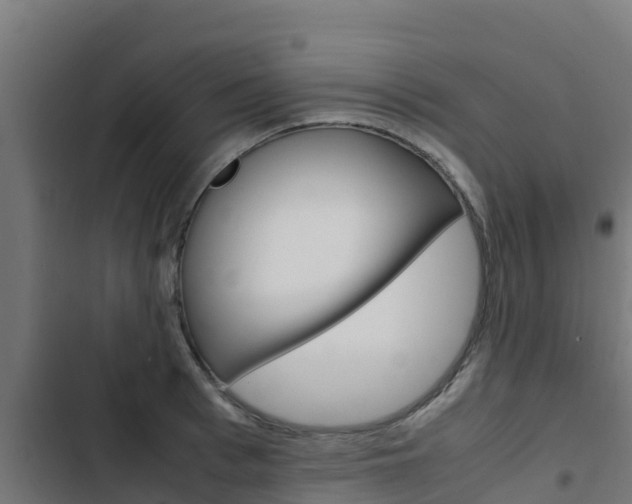 X0000103430993200809121033