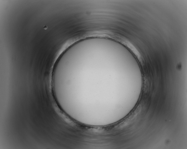 X0000103430994200809121033