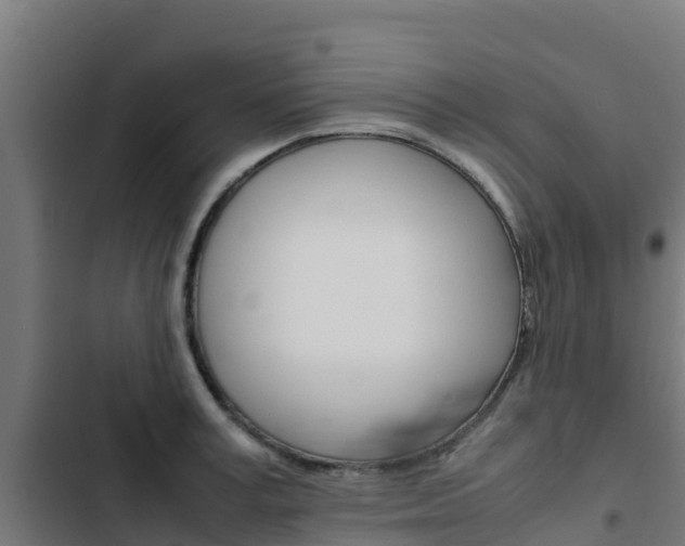 X0000103430995200809121033