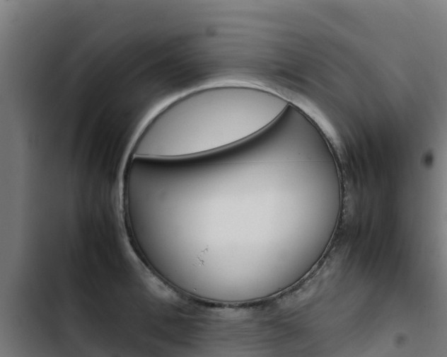 X0000103430996200809121032