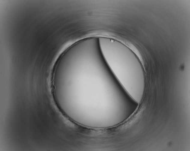 X0000103430997200809121032