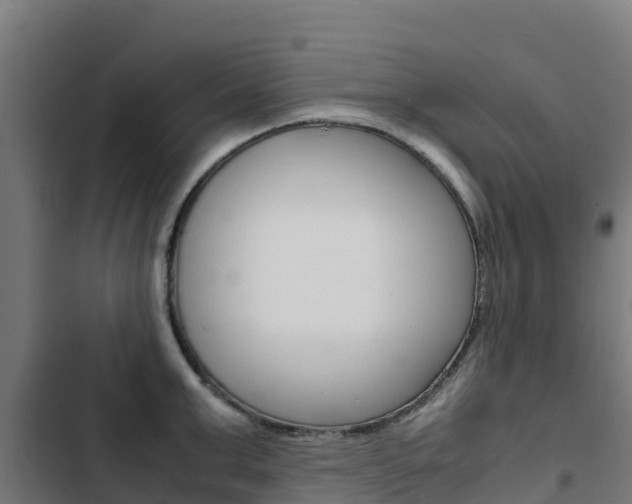 X0000103430999200809121032