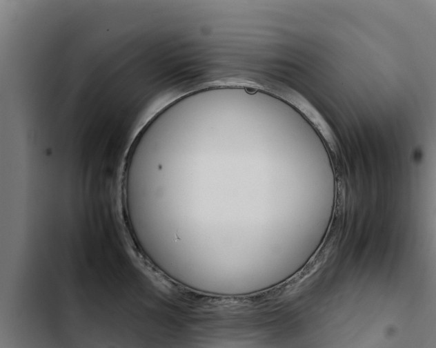 X0000103431002200809121032