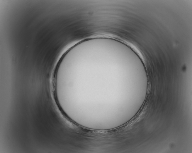 X0000103431003200809121032