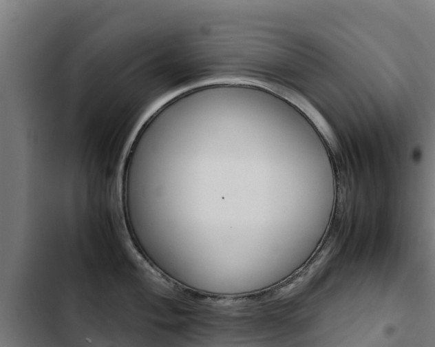 X0000103431004200809121032