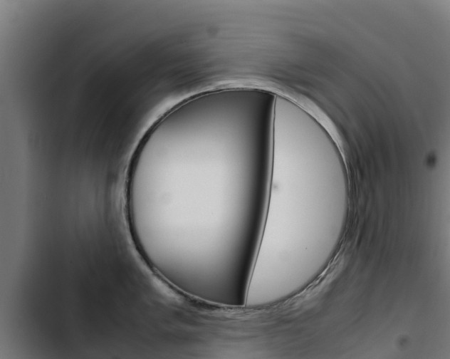 X0000103431005200809121032