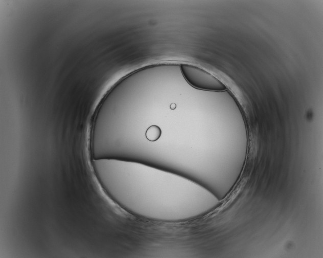 X0000103431006200809121032