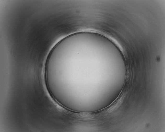 X0000103431007200809121032