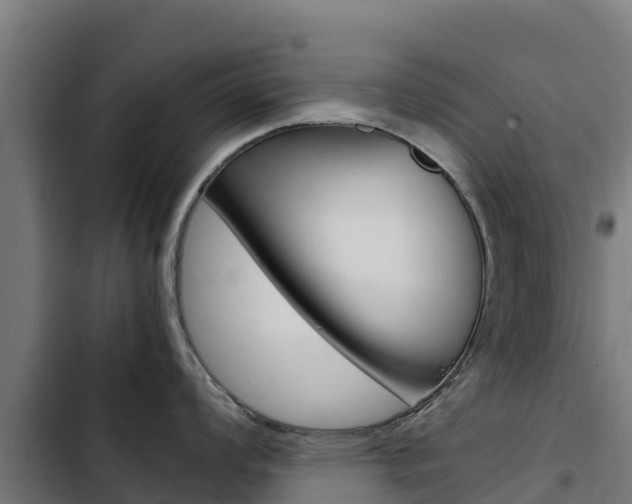 X0000103431008200809121032