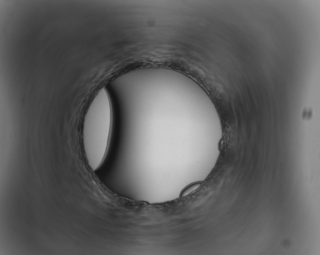X0000103431009200809121031