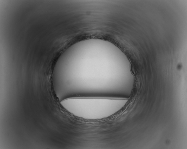X0000103431010200809121032