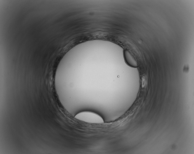 X0000103431011200809121032