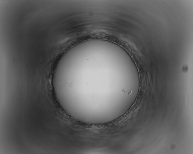 X0000103431013200809121032