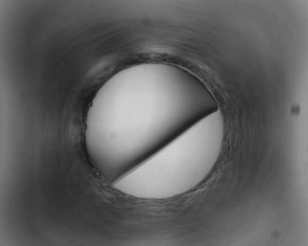 X0000103431014200809121032