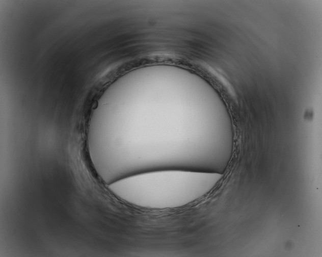 X0000103431015200809121032