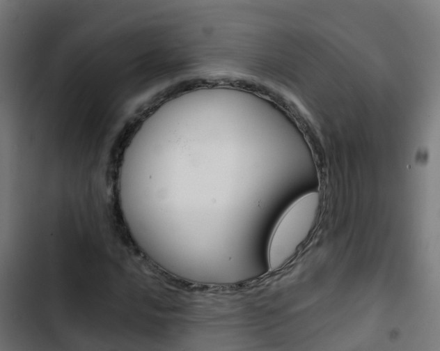 X0000103431016200809121032