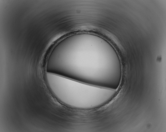 X0000103431018200809121032