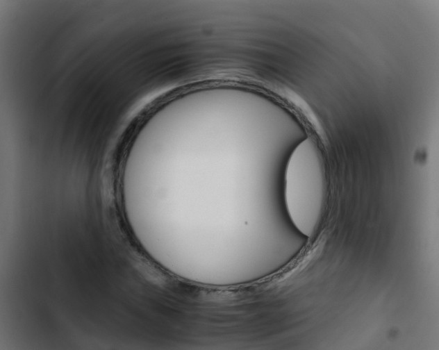 X0000103431019200809121032