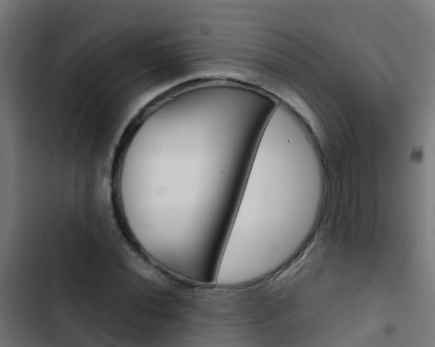 X0000103431020200809121032