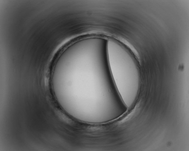 X0000103431021200809121032