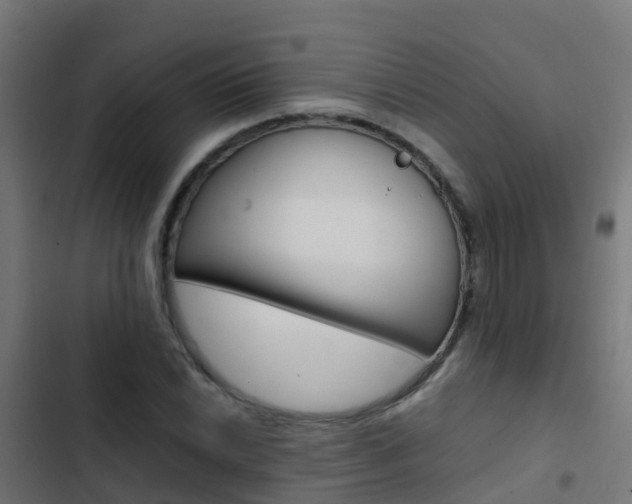 X0000103431022200809121032