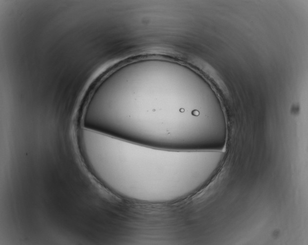 X0000103431024200809121032