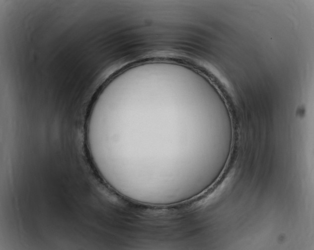 X0000103431025200809121032