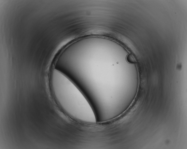 X0000103431026200809121032