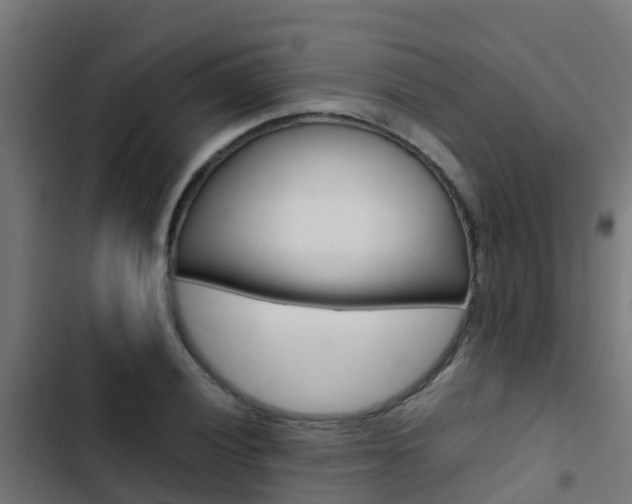 X0000103431028200809121032
