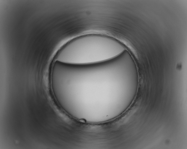 X0000103431030200809121032