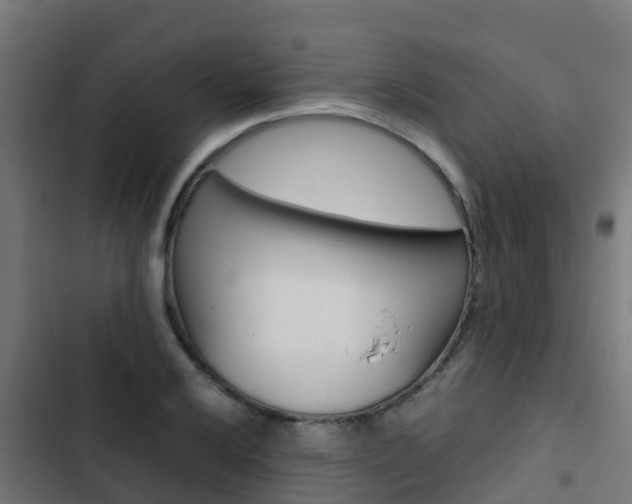X0000103431032200809121032