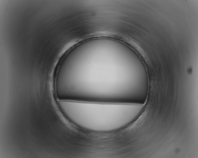 X0000103431034200809121032