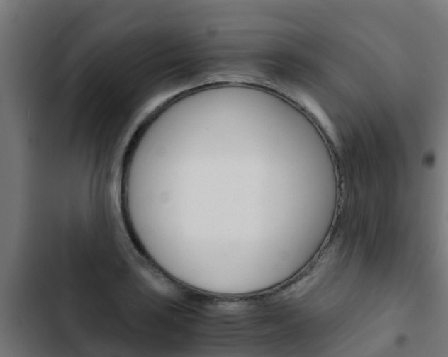 X0000103431035200809121032