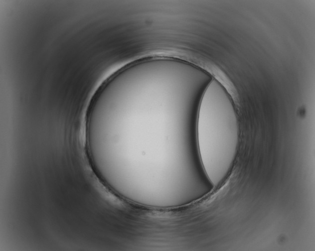 X0000103431036200809121032
