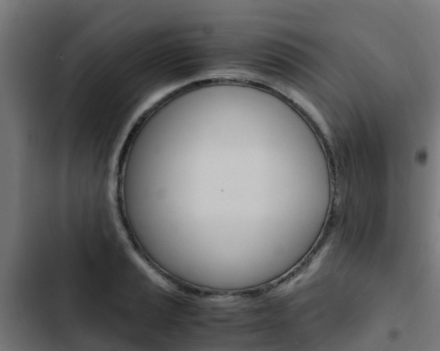 X0000103431037200809121032