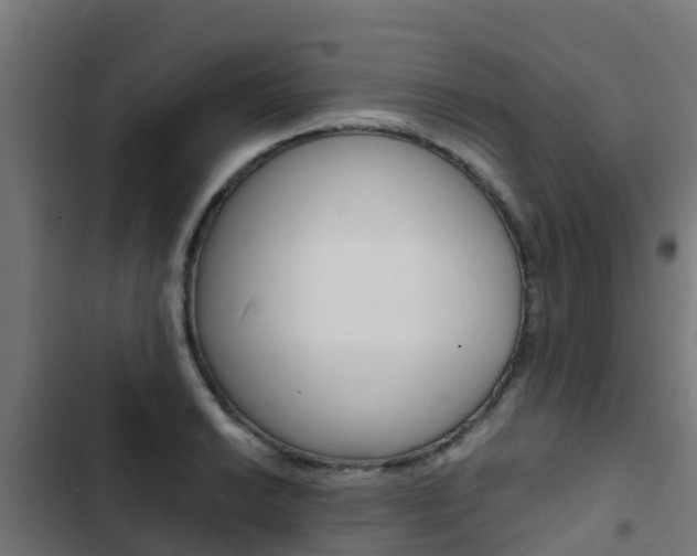 X0000103431038200809121032