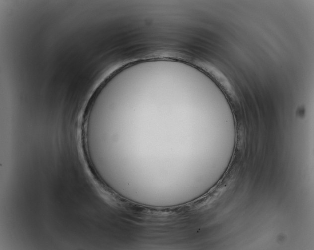 X0000103431039200809121032