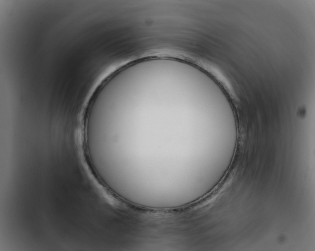 X0000103431040200809121032