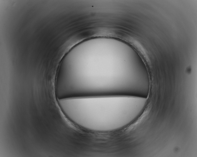 X0000103431041200809121032