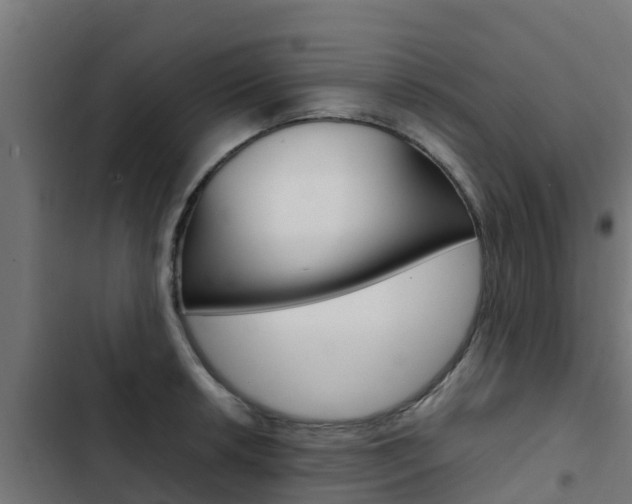X0000103431042200809121032