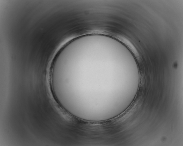 X0000103431043200809121032