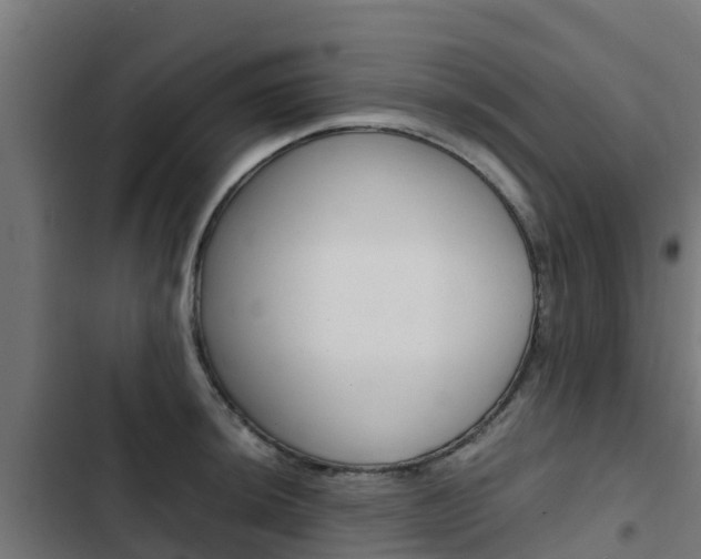 X0000103431044200809121032