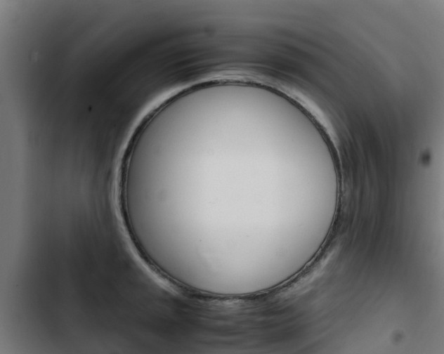 X0000103431045200809121032